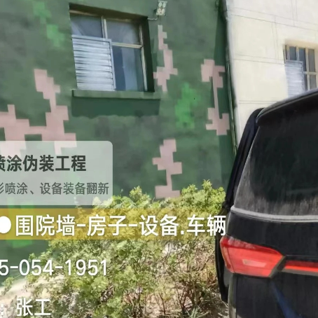 梧州数码迷彩漆施工
